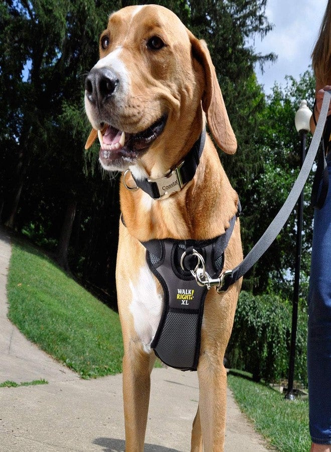 Coastal Pet Walk Right Front-Connect No-Pull Padded Dog Harness - Adjustable & Comfortable Dog Harness - Small & Large Breed Fit - Quality Pet Supplies - Black, LRG (26"-38") - Image 2